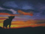 wolf