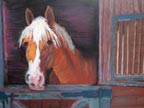 mypony