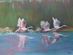 3Swans