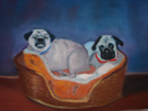 pugs
